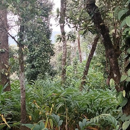 Spice Green Residency Pirmed Экстерьер фото